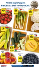 Tesco &uacute;js&aacute;g &eacute;rv&eacute;nyess&eacute;ge 2026.08.12-ig