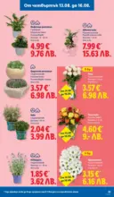 ЛИДЛ Вкусни моменти край грила с ЛИДЛ предложения с валидност до 16.08.2026 - до 16-08-26