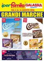 Galassia Grandi marche - al 16.08.2026