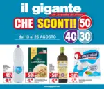 Il Gigante Sconti 30% 40% 50% - al 26.08.2026