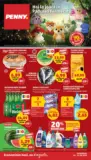 Catalog PENNY p&acirc;nă &icirc;n data de 11.08.2026