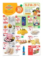 Globus Globus 33 26 L1 &ndash; od 12.08.2026