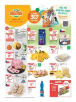 Globus Globus 33 26 L1 &ndash; od 12.08.2026