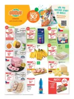 Globus Globus 33 26 L1 &ndash; od 12.08.2026
