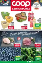 Coop: Sz&eacute;les v&aacute;laszt&eacute;k az aj&aacute;nlatokb&oacute;l - 2026.08.19 napig