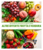 Eurospin ALTRE OFFERTE FRUTTA E VERDURA - al 16.08.2026
