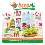 Coal Eccomi City - al 26.08.2026