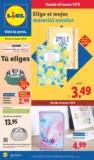 &iexcl;Bazar Lidl!- Ofertas v&aacute;lidas del 17/08 al 23/08