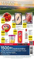 Tesco &uacute;js&aacute;g &eacute;rv&eacute;nyess&eacute;ge 2026.08.19-ig