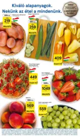 Tesco &uacute;js&aacute;g &eacute;rv&eacute;nyess&eacute;ge 2026.08.19-ig