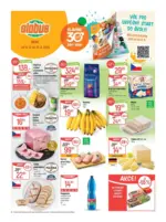 Globus Globus 33 26 L1 &ndash; do 18.08.2026