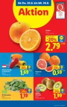 Lidl Lidl - bis 26.08.2026
