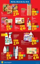 Lidl Lidl - bis 26.08.2026
