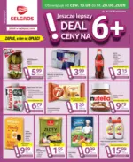 Oferta dla profesjonalist&oacute;w Selgros &ndash; do 26.08.2026