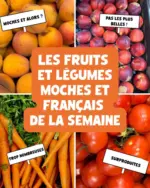 Nous anti gaspi Les fruits et l&eacute;gumes de semaine - au 16.08.2026
