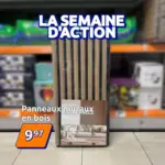Action La nouvelle Semaine d'Action un d&eacute;but ! - au 21.08.2026
