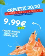 march&eacute; frais G&eacute;ant Les promos de la semaine sont arriv&eacute;es chez March&eacute; Frais ! - au 16.08.2026