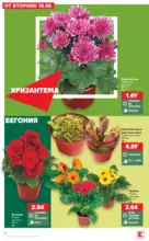 Kaufland хипермаркет Топ оферти с Kaufland с валидност до 23.08.2026 - до 23-08-26