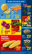 Lidl Lidl: Wochenangebote - bis 22.08.2026