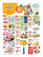 Globus Globus 33 26 L1 &ndash; do 18.08.2026