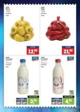 Catalog Metro p&acirc;nă &icirc;n data de 24.08.2026