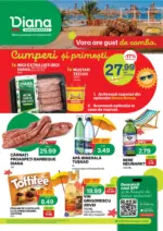 Diana Catalog Diana p&acirc;nă &icirc;n data de 31.08.2026 - p&acirc;nă la 31-08-26