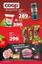 Coop: Coop region&aacute;lis sz&oacute;r&oacute;lap augusztus 4. h&eacute;t - &Eacute;szak-Kelet - 2026.08.26 napig