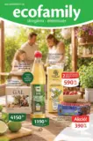 Ecofamily Online katalógus
