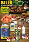 Billa Katalog Grill