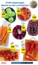 Tesco &uacute;js&aacute;g &eacute;rv&eacute;nyess&eacute;ge 2026.08.26-ig