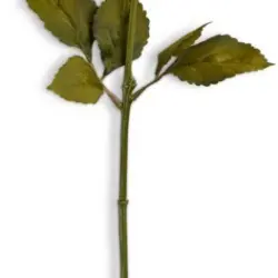 JYSK Floare artificială BERNT 62cm bej