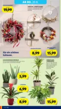 HOFER HOFER: Flugblatt - bis 20.08.2026