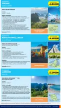 HOFER HOFER: Flugblatt - bis 20.08.2026