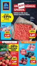 HOFER HOFER: Flugblatt - ab 21.08.2026