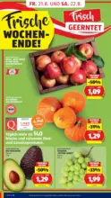 HOFER HOFER: Flugblatt - ab 21.08.2026