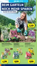 HOFER HOFER: Flugblatt - ab 21.08.2026