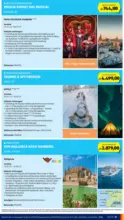 HOFER HOFER: Flugblatt - ab 21.08.2026
