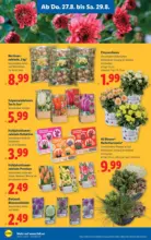 Lidl Lidl - bis 02.09.2026
