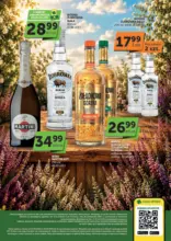 Aktualne promocje specjalne