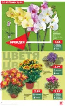 Kaufland хипермаркет Топ оферти с Kaufland с валидност до 30.08.2026 - от 24-08-26