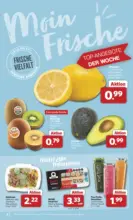 Unsere Combi Wochenangebote