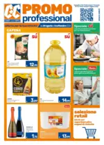 C+C Promo professional - al 06.09.2026