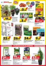 Bricomarche gazetka