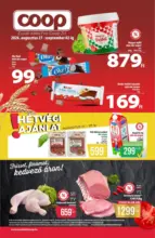 Coop: Coop region&aacute;lis sz&oacute;r&oacute;lap augusztus 5. h&eacute;t - &Eacute;szak-Kelet - 2026.09.02 napig