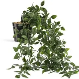 JYSK Plantă artificială OLIVER 70cm