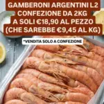 Zerotto Surgelati Vendita solo a confezione - al 31.08.2026