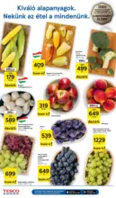 Tesco &uacute;js&aacute;g &eacute;rv&eacute;nyess&eacute;ge 2026.09.02-ig