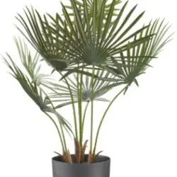 JYSK Plantă artificială JAKOB 73cm