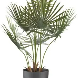 JYSK Plantă artificială JAKOB 73cm