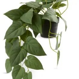 JYSK Plantă artificială ANDERSEN 43 cm